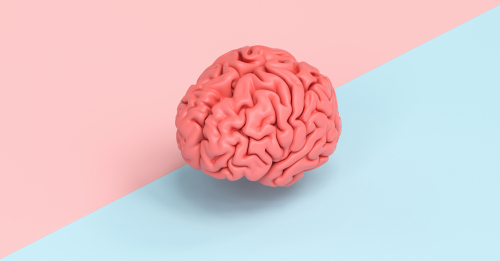 Hoe voelt je brein zich? – Wetenschapsfestival